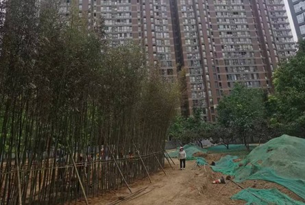 園林綠化施工