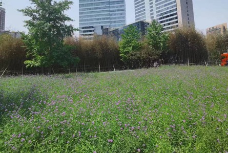 園林綠化施工